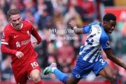 bsports体育-利物浦闷平失败，主教练认为取胜需要更多努力