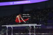 bsports体育-体操男子团体赛，中国队斩获银牌