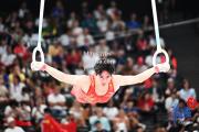 bsports体育-体操男子团体赛，中国队斩获银牌
