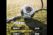bsports体育-冰岛队遭遇平局，欧预赛形势有所起伏