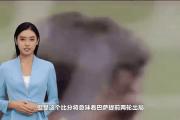 bsports体育-红魔遭遇痛击，提前出局