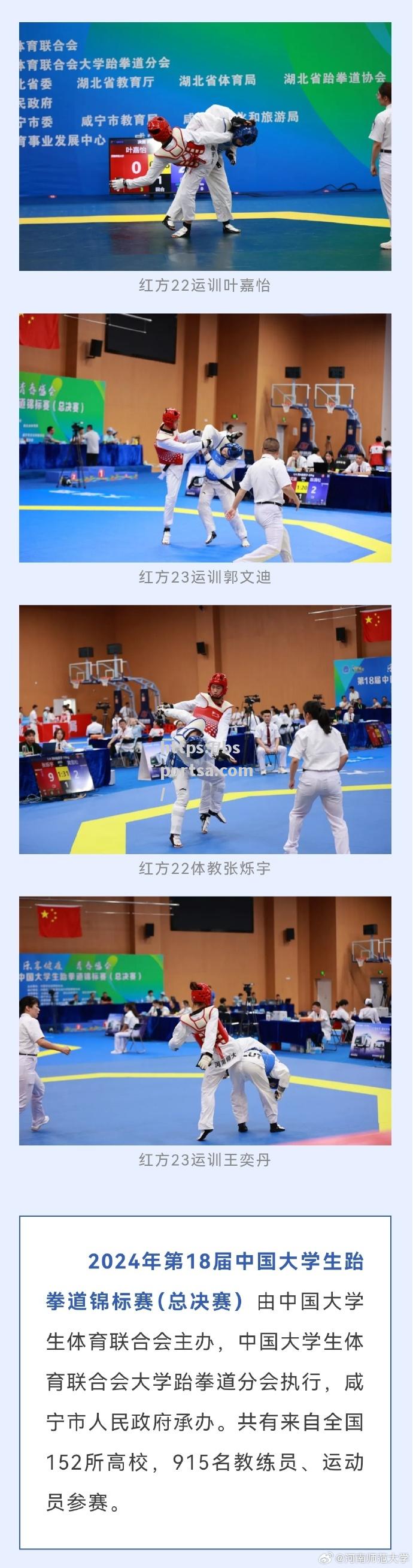跆拳道选手实力无敌，斩获金牌